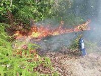 4 Peristiwa Karhutla dalam Sepekan, BPBD Tapteng Siagakan Personil