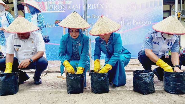Bank Indonesia Bagikan Bibit Cabai di Sibolga untuk Program Urban Farming