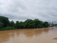 Bengawan Solo Berpotensi Meluap di Bojonegoro, Warga Diminta Waspada