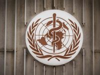 WHO Gelar Pertemuan Mendadak Terkait Wabah Virus Marburg di Guinea, Afrika Barat