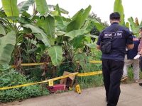 Koper Berisi Potongan Tubuh Korban Mutilasi Ditemukan di Bogor
