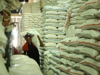 Pemerintah Salurkan Bansos Pangan THR Berupa Beras Sebanyak 10 Kg Selama 3 Bulan