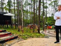 Presiden Jokowi Mulai Membangun Ibu Kota Baru di Kalimantan Timur untuk Mendorong Pemerataan Ekonomi