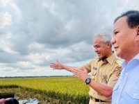 Relawan ProGib Deklarasikan Dukungan untuk Prabowo-Ganjar sebagai Capres-Cawapres di Pilpres 2024