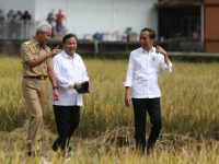 Tiga Partai Politik Besar di Indonesia, Gerindra, PDIP, dan PKB, Mempersiapkan Calon Mereka untuk Pemilu 2024