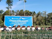 BI Sibolga dan Pemkab Nias Panen Bersama Cabai Merah di Desa Somi